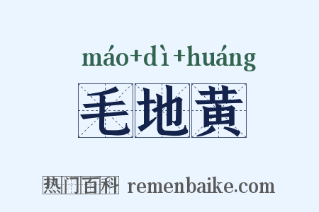 毛地黄是什么意思的图片